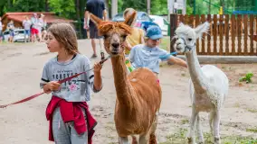 Dzień Dziecka w Ośrodku Wypoczynkowym Wodnik, czerwiec 2024 r. - zdjęcie 20