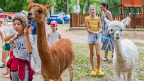 Dzień Dziecka w Ośrodku Wypoczynkowym Wodnik, czerwiec 2024 r. - zdjęcie 3