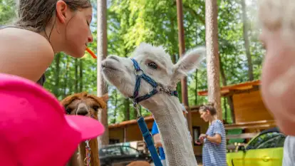Dzień Dziecka w Ośrodku Wypoczynkowym Wodnik, czerwiec 2024 r.