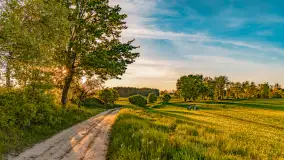 Mazury w wieczornych promieniach słońca, maj 2024 r. - zdjęcie 1