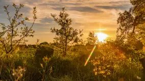 Mazury w wieczornych promieniach słońca, maj 2024 r. - zdjęcie 16