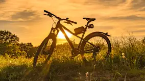 Mazury w wieczornych promieniach słońca, maj 2024 r. - zdjęcie 4