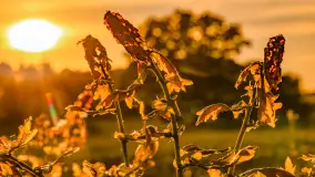 Mazury w wieczornych promieniach słońca, maj 2024 r. - zdjęcie 31