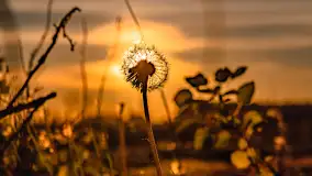 Mazury w wieczornych promieniach słońca, maj 2024 r. - zdjęcie 12