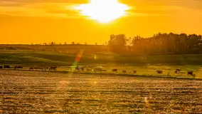 Mazury w wieczornych promieniach słońca, maj 2024 r. - zdjęcie 27