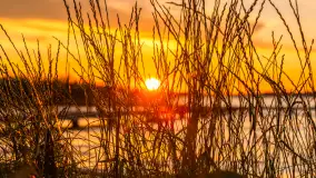 Zachód słońca w przystani Rajcocha, lipiec 2024 r. - zdjęcie 8