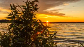 Zachód słońca w przystani Rajcocha, lipiec 2024 r. - zdjęcie 39