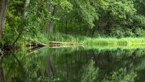 Rejs Mazury24 Omegą po Sapinie, sierpień 2024 r. - zdjęcie 38