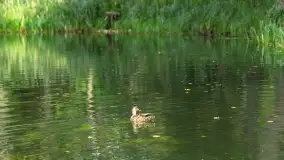 Rejs Mazury24 Omegą po Sapinie, sierpień 2024 r. - zdjęcie 46