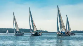 Fotorelacja z regat Święcajty Cup 2024 - zdjęcie 36