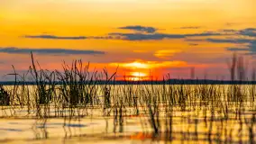 Sierpniony zachód nad jeziorem Dargin 2024 - zdjęcie 20