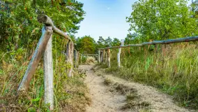 Puszcza Piska na początku września 2024 r. - zdjęcie 20