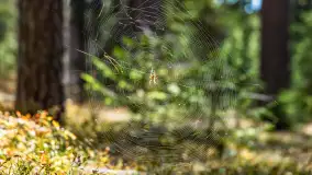 Puszcza Piska na początku września 2024 r. - zdjęcie 50