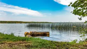 Puszcza Piska na początku września 2024 r. - zdjęcie 61