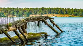 Puszcza Piska na początku września 2024 r. - zdjęcie 44