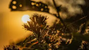 Puszcza Piska na początku września 2024 r. - zdjęcie 48