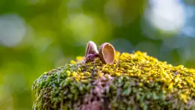 Puszcza Piska na początku września 2024 r. - zdjęcie 102