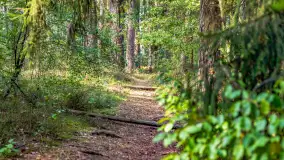 Puszcza Piska na początku września 2024 r. - zdjęcie 132