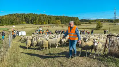 Fotorelacja z Mazurskiego Redyku w Sołdanach, październik 2024