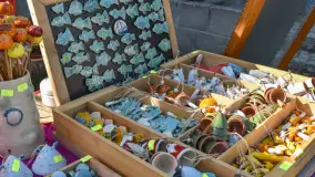 Fotorelacja z Mazurskiego Redyku w Sołdanach, październik 2024 - zdjęcie 44