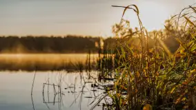 Wschód słońca nad jeziorem Iławki, październik 2024 r. - zdjęcie 28