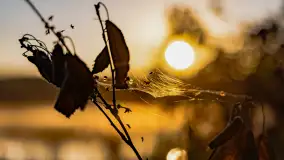 Wschód słońca nad jeziorem Iławki, październik 2024 r. - zdjęcie 24