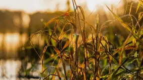 Wschód słońca nad jeziorem Iławki, październik 2024 r. - zdjęcie 22