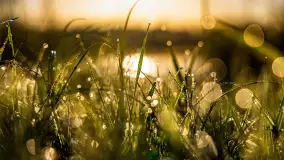 Wschód słońca nad jeziorem Iławki, październik 2024 r. - zdjęcie 2