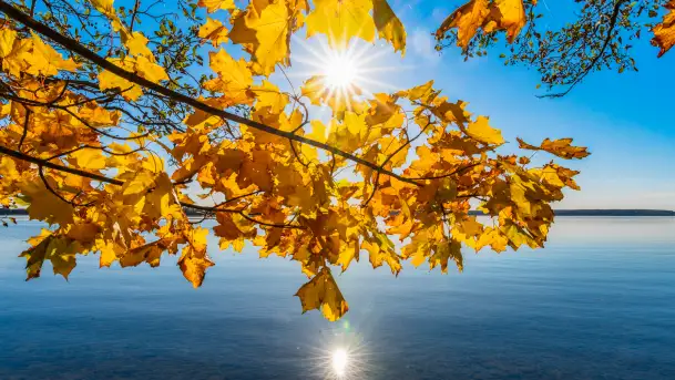 Jesień nad jeziorem Niegocin, październik 2024 r. - zdjęcie 2