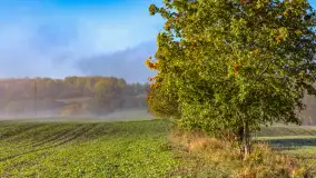 Mgły nad mazurskimi polami i łąkami, październik 2024 r. - zdjęcie 6