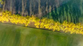 Mgły nad mazurskimi polami i łąkami, październik 2024 r. - zdjęcie 5