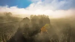 Mgły nad mazurskimi polami i łąkami, październik 2024 r. - zdjęcie 21