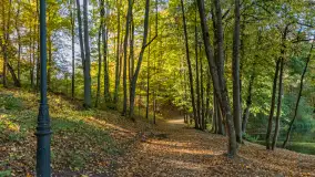 Jesień w Gizycku przy Boyen Water Park, październik 2024 r. - zdjęcie 28