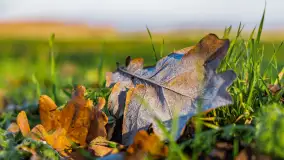 Kolory Mazur w drugiej połowie listopada, 2024 r. - zdjęcie 27