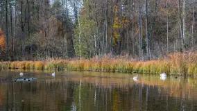 Krutynia na początku listopada 2024 - zdjęcie 16