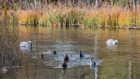 Krutynia na początku listopada 2024 - zdjęcie 19