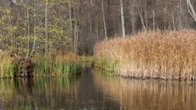 Krutynia na początku listopada 2024 - zdjęcie 3