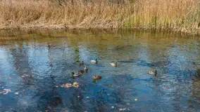 Krutynia na początku listopada 2024 - zdjęcie 6