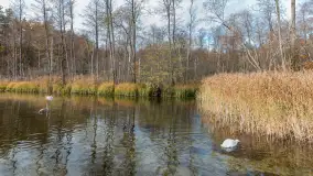 Krutynia na początku listopada 2024 - zdjęcie 20