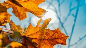 Podsumowanie mazurskiej, złotej jesieni 2024, cz. I - zdjęcie 9