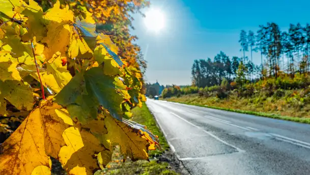 Podsumowanie mazurskiej, złotej jesieni 2024, cz. I - zdjęcie 1