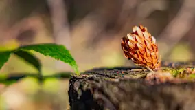 Podsumowanie mazurskiej, złotej jesieni 2024, cz. I - zdjęcie 43