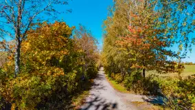 Podsumowanie mazurskiej, złotej jesieni 2024, cz. I - zdjęcie 41