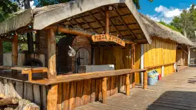 Tło dla Mew, sezon 2024 r. - zdjęcie 13