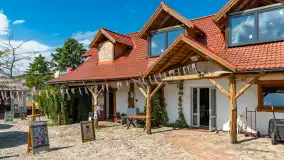 Tło dla Mew, sezon 2024 r. - zdjęcie 11