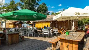 Tło dla Mew, sezon 2024 r. - zdjęcie 10