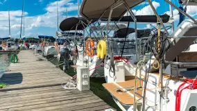 Tło dla Mew, sezon 2024 r. - zdjęcie 8