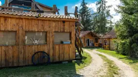 Tło dla Mew, sezon 2024 r. - zdjęcie 25