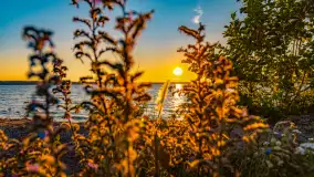 Sierpniowy zachód słońca, jezioro Kisajno i mazurska przyroda - zdjęcie 3