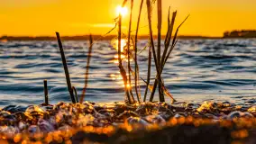 Sierpniowy zachód słońca, jezioro Kisajno i mazurska przyroda - zdjęcie 16